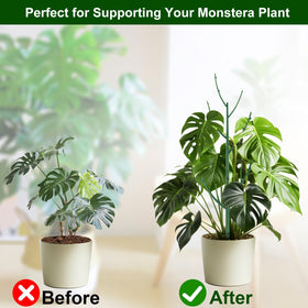 Yhtpouqe height-extension stake supports tall stems.