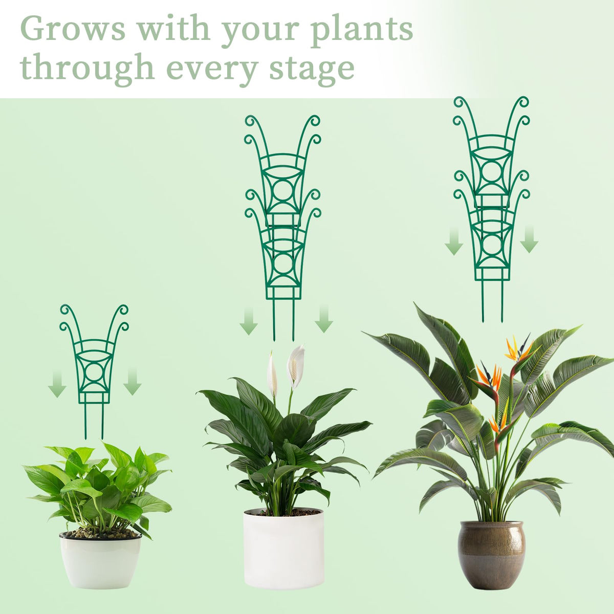 Yhtpouqe natural green finish blends with ivy, hoya, and other greenery.