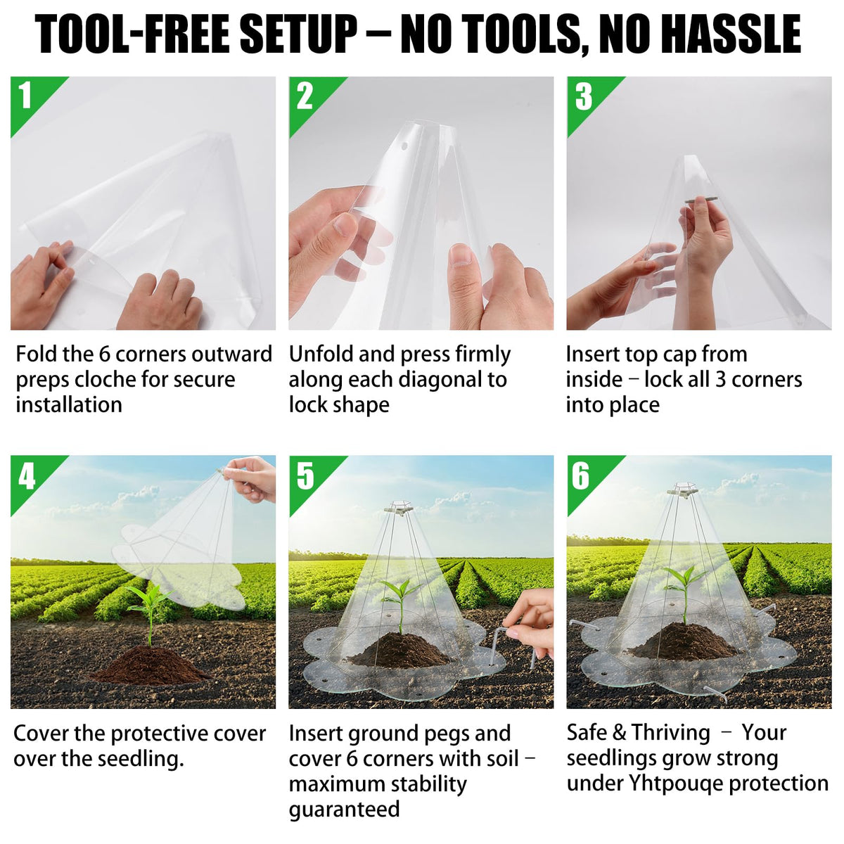 Yhtpouqe see-through cloche enables light transmission and easy moisture checks