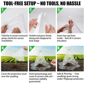 Yhtpouqe see-through cloche enables light transmission and easy moisture checks