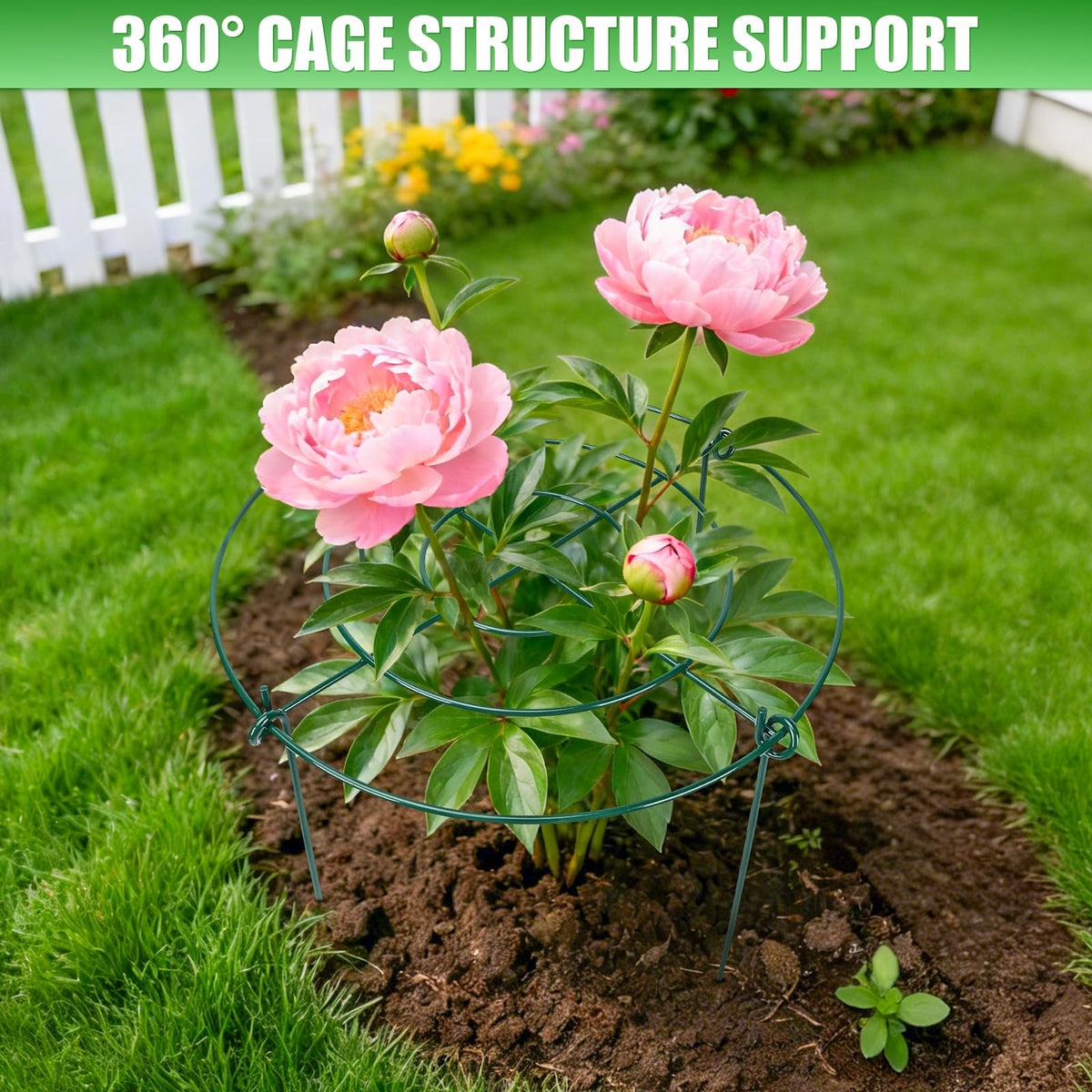 YIBOBO peony cages side view providing balanced support for tall plants.