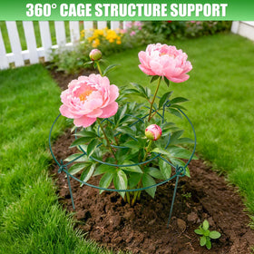 YIBOBO peony cages side view providing balanced support for tall plants.