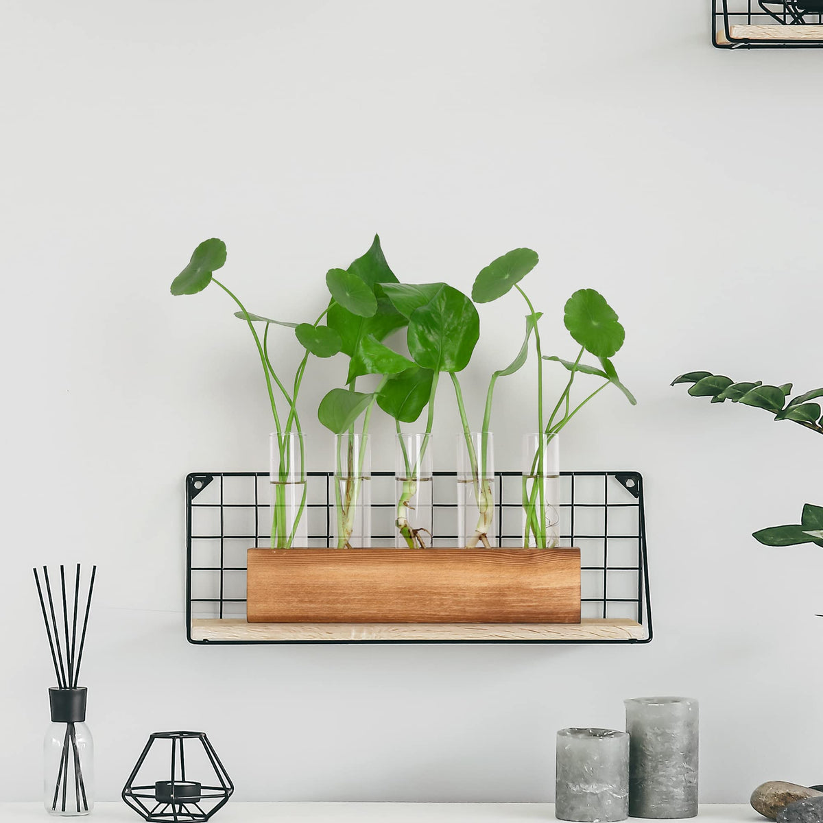 A stylish desk decor piece that elevates home or office greenery.