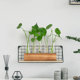 A stylish desk decor piece that elevates home or office greenery.