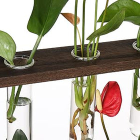 YIBOT high-transparency glass for easy root observation.