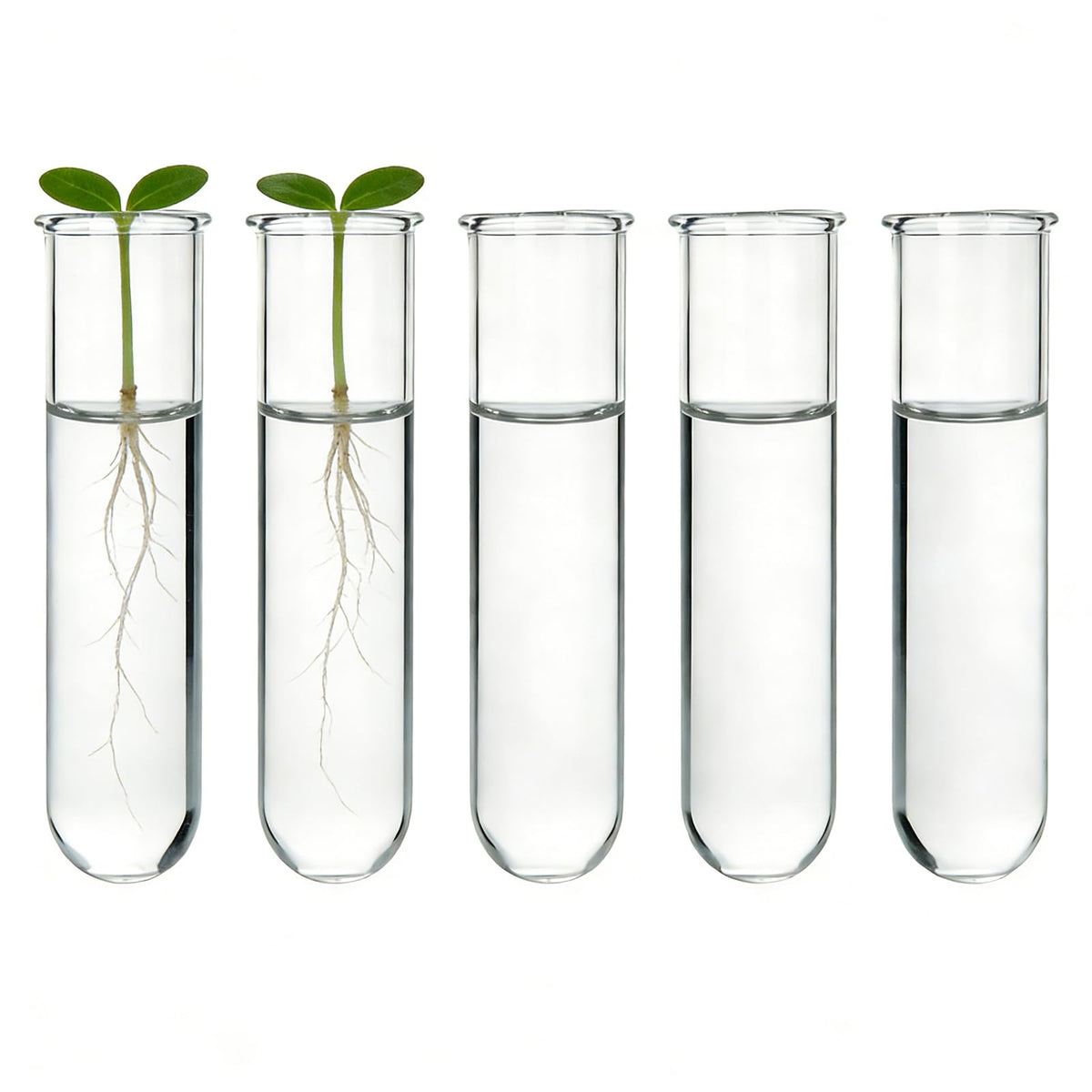 YIBOT high-boron-silicon glass ensures durability and smooth surface.