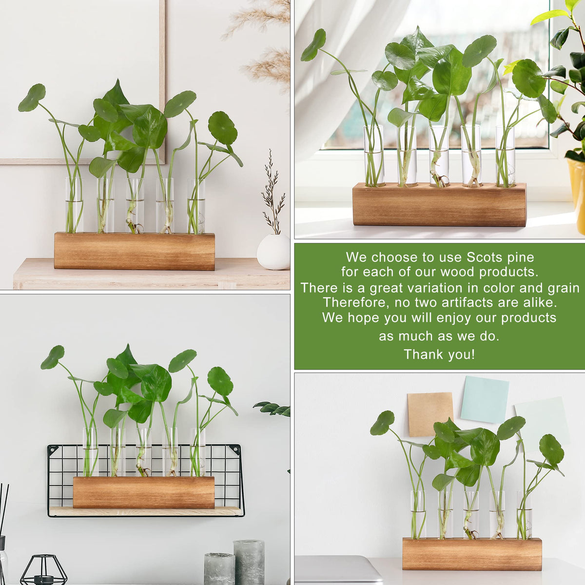 Perfect for propagating herbs like mint and basil at your desk.