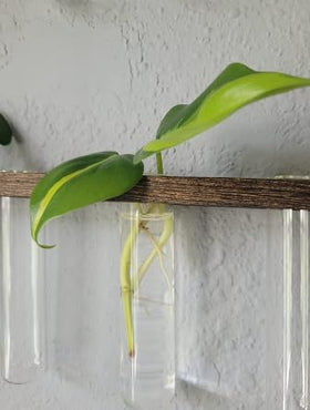 YIBOT hydroponic wall decor setup enhances spaces.