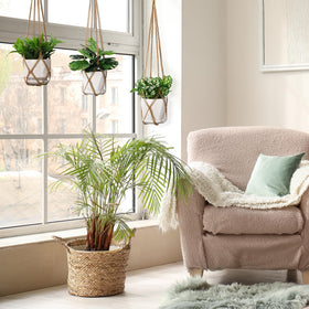 YIBOT macrame hanger space-saving vertical display in a bright corner