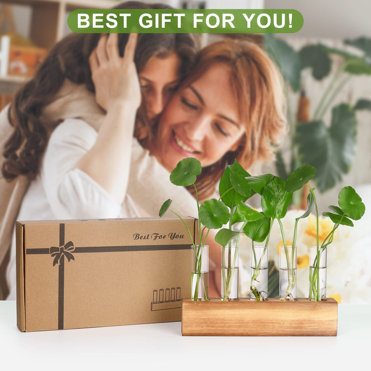 A thoughtful gift for plant lovers on birthdays, Mother's Day, or holidays.