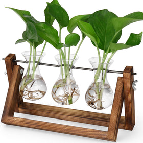 YIBOT propagation station with wooden stand elevates desk decor and plant propagation