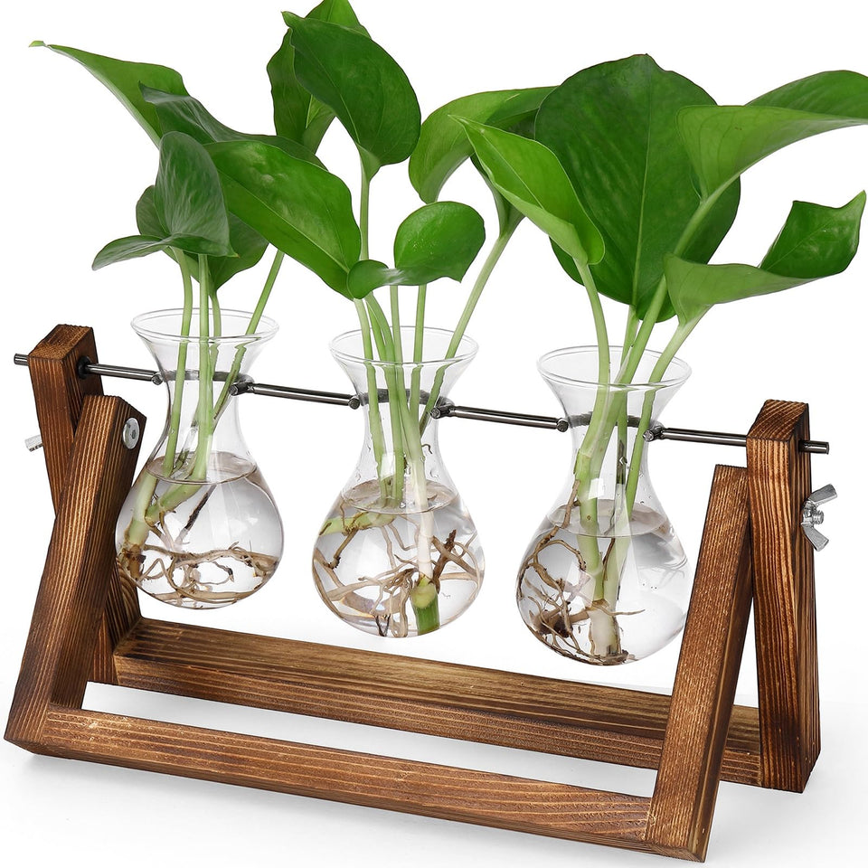 YIBOT propagation station with wooden stand elevates desk decor and plant propagation