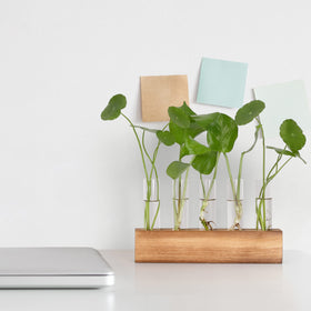 Quality construction ensures lasting beauty as your plants grow.