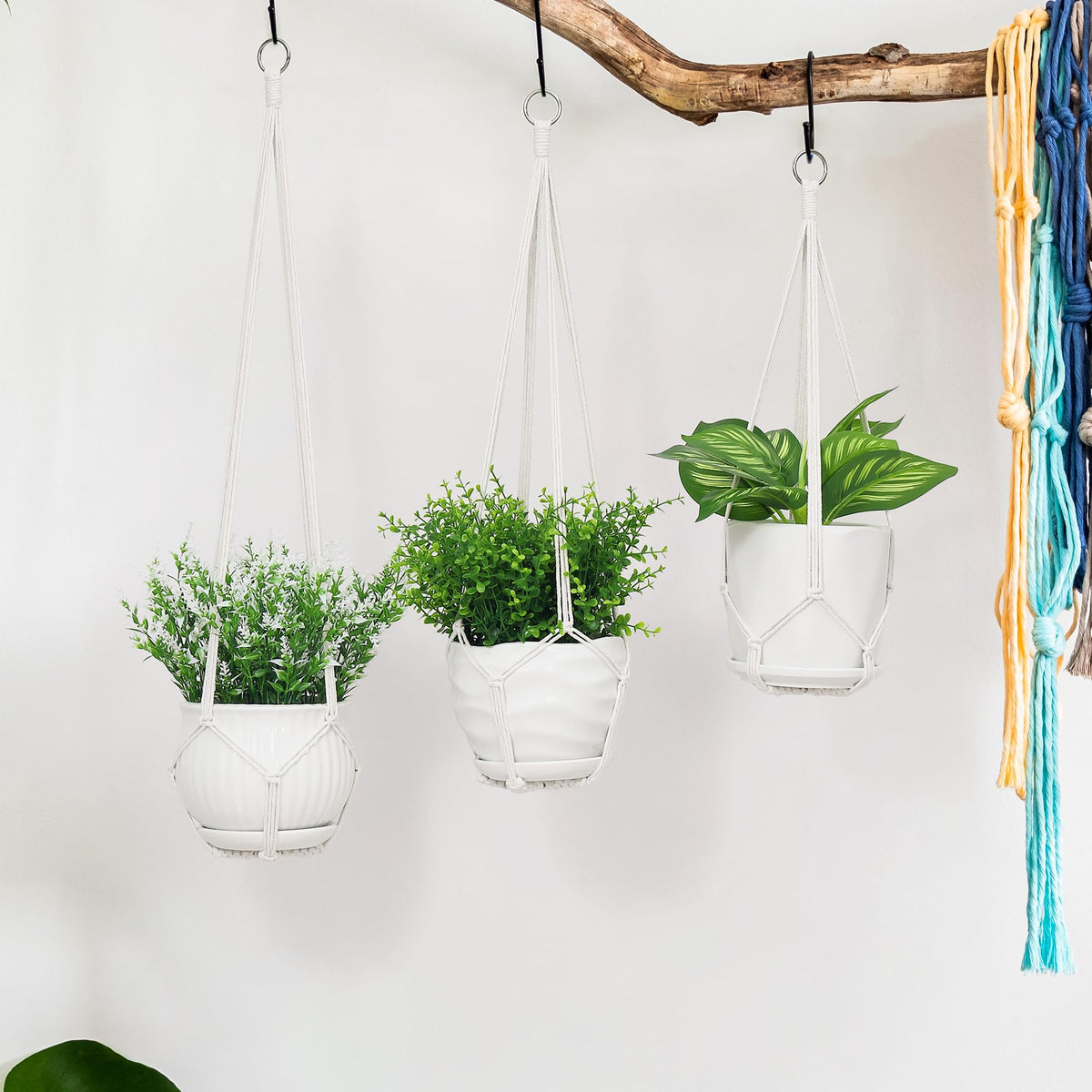 YIBOT space-saving macrame hanger highlights vertical display