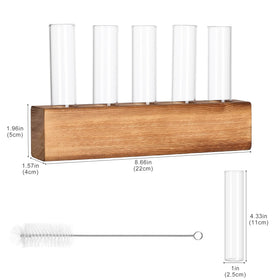 YIBOT glass test tubes in a 5-pack for easy cuttings and display.
