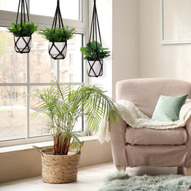 YIBOT space-saving plant hanger showcases vertical plant displays.