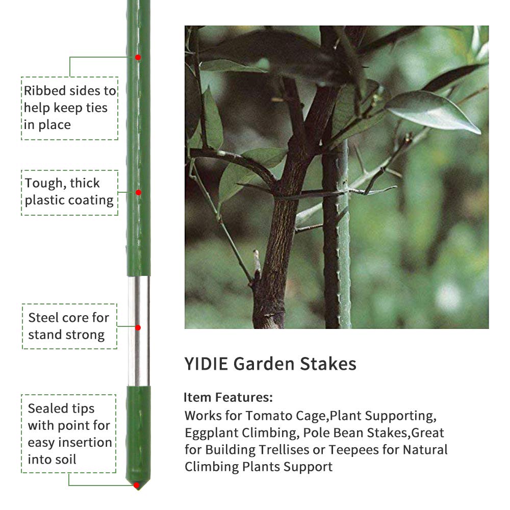 YIDIE bean stake helps climbing beans grow upright