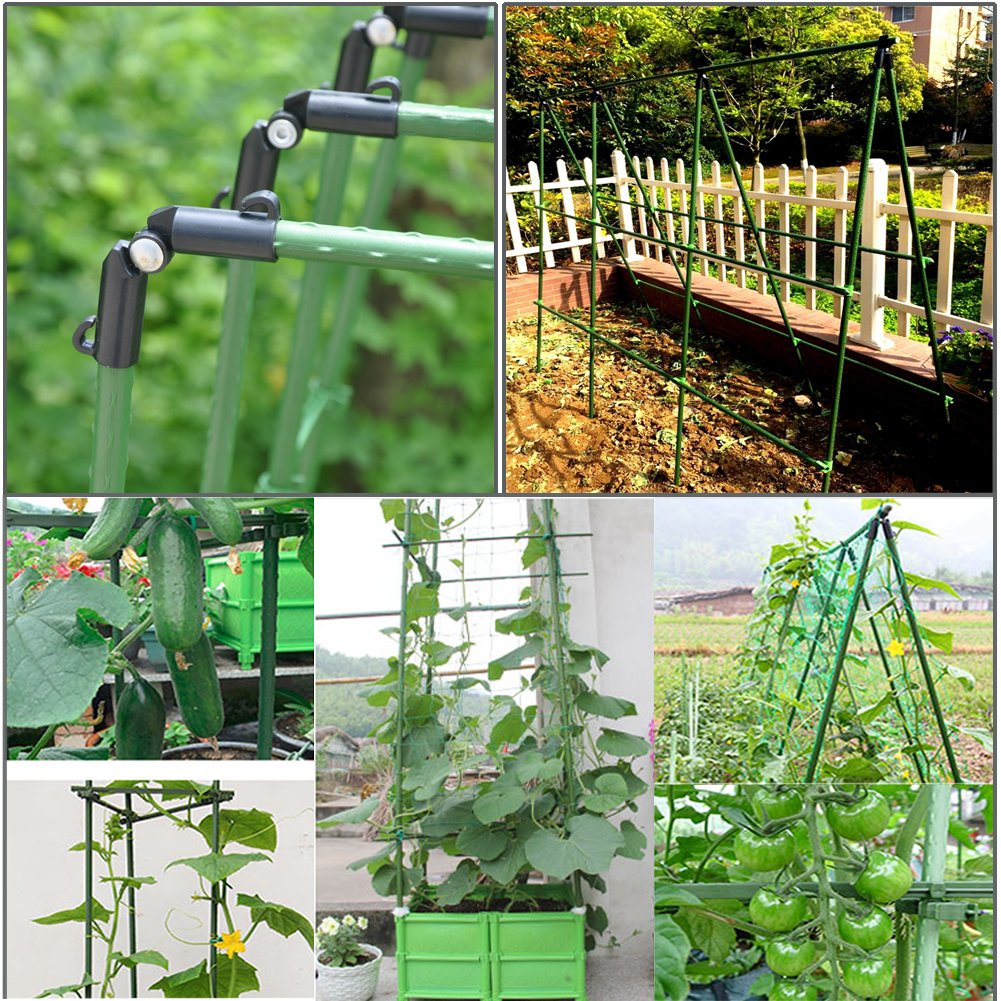 YIDIE stake used to build a trellis for climbing plants