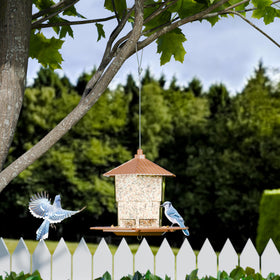 Yieach Hopper Bird Feeder adds garden decoration and invites birds