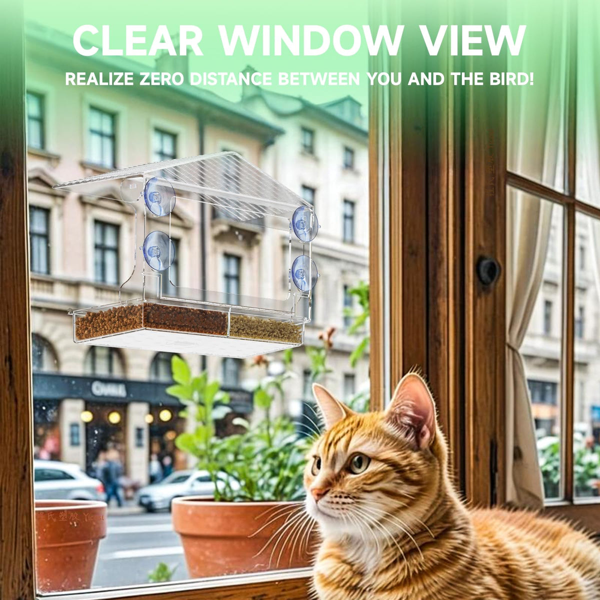 Yieach window bird feeder with strong suction cups for secure placement.