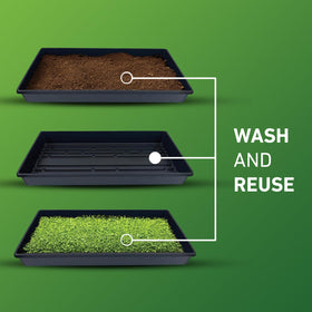 Yield Lab 10x20 tray with 20-clone capacity for efficient propagation.