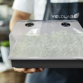 Domes compatible with heat mats and trays for stable propagation conditions
