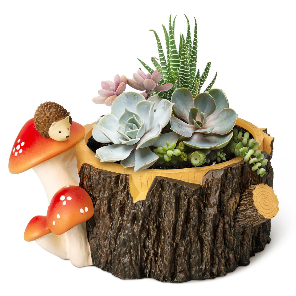 Yiiwinwy hedgehog succulent pot with drainage hole supports healthy root airflow