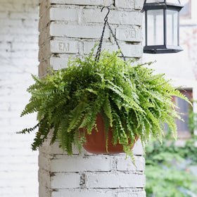 YIKUSH hanging planter suits indoor and outdoor spaces.