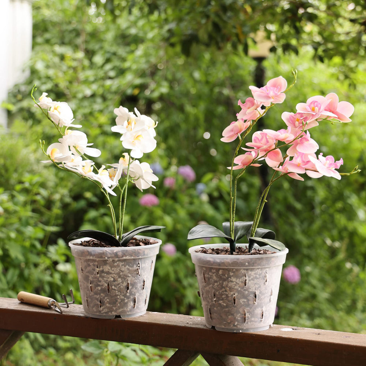 YIKUSH pots are easy to clean and reuse for multiple plants.