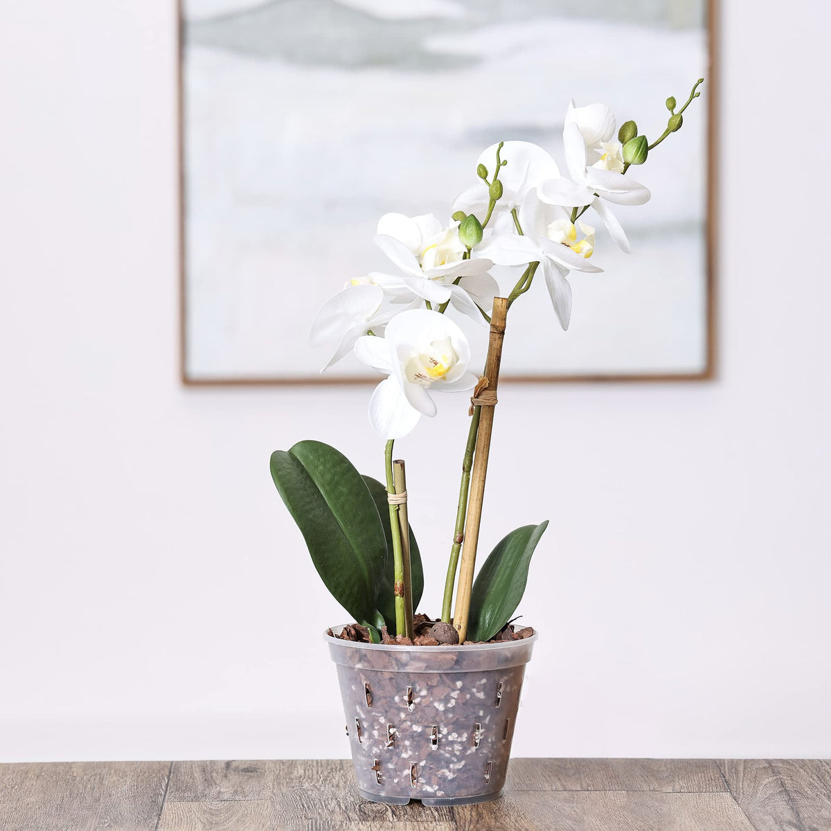 YIKUSH indoor-outdoor compatible pots fit balconies and patios.