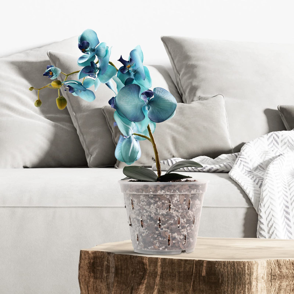 YIKUSH versatile orchid pots for decorative arrangements.