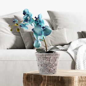 YIKUSH versatile orchid pots for decorative arrangements.