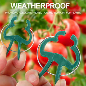 Yinghezu garden vine support clip blends with foliage for steady climbing.