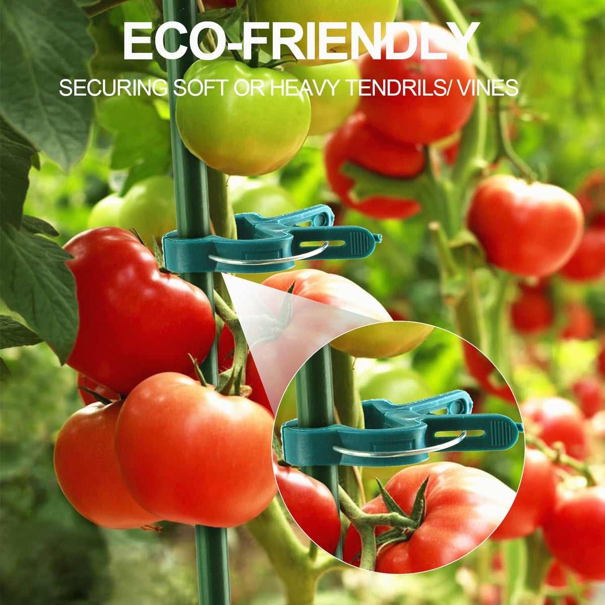 Yinghezu green clips blending with foliage while supporting stems