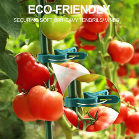 Yinghezu green clips blending with foliage while supporting stems
