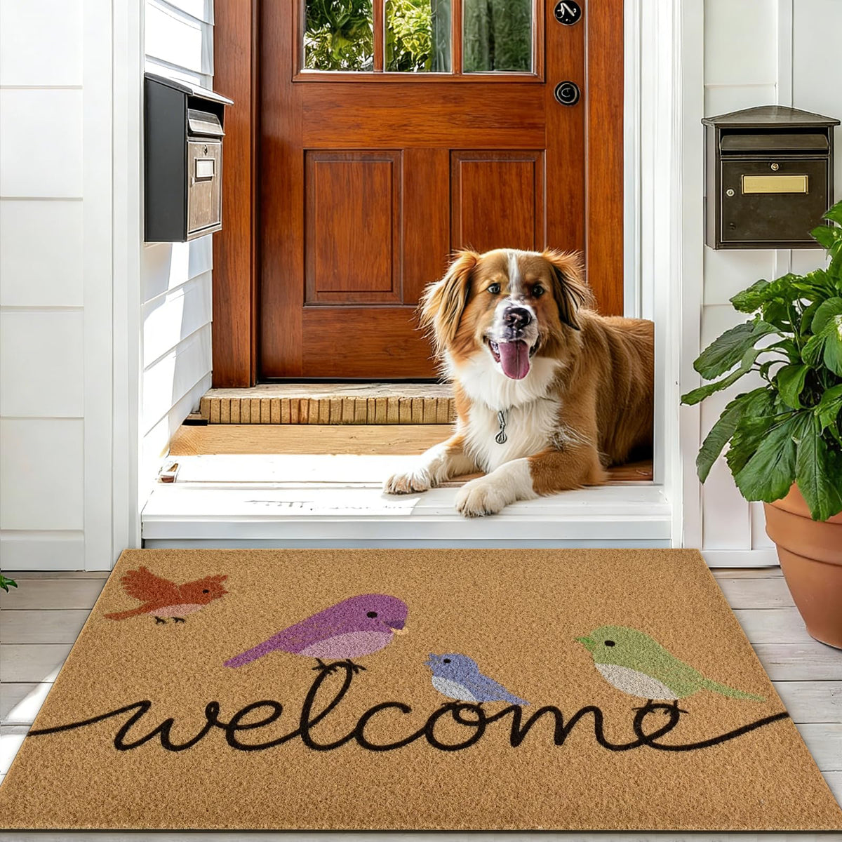 Yinhua Easy-to-clean Door Mat shake or vacuum for quick maintenance