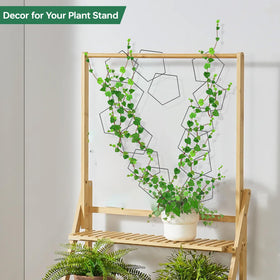 Yinjupu DIY climbing-path option supports creative plant layouts.