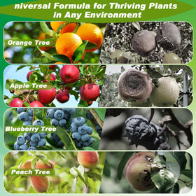 yiosumseuo protects fruit trees and berries from cicadas and insects.