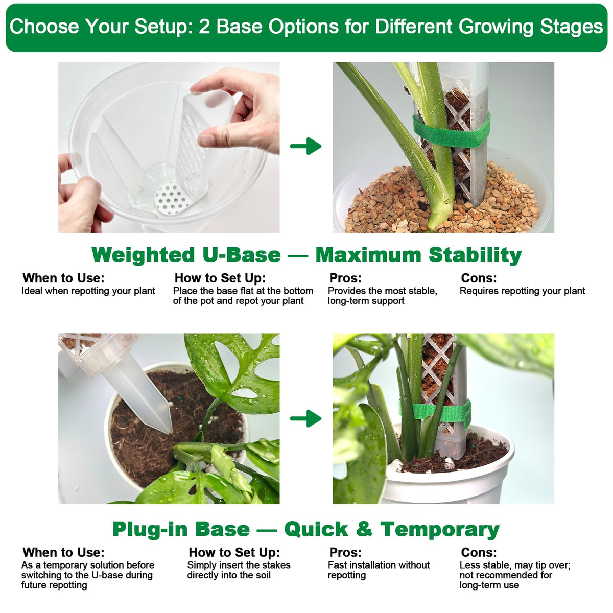 Yioviru Monstera-friendly moss pole guiding aerial roots through a grid