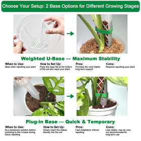 Yioviru Monstera-friendly moss pole guiding aerial roots through a grid