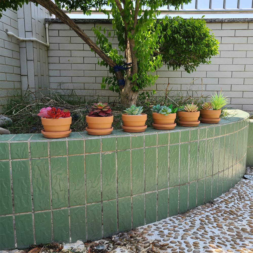 Yishang indoor-outdoor plant setup with pot, versatile placement for small greenery.