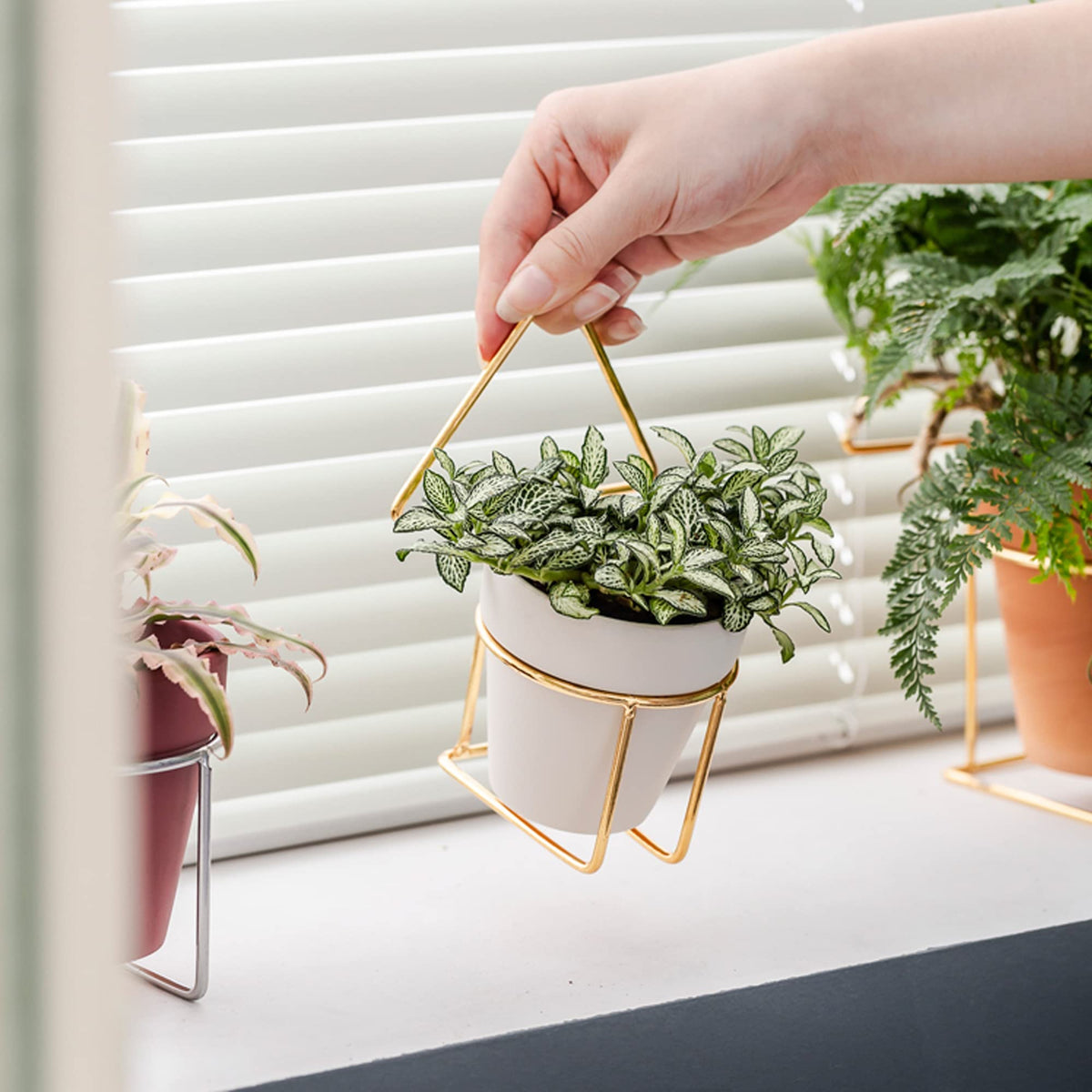 Yishang mini pot collection demo for home decor and small plants.