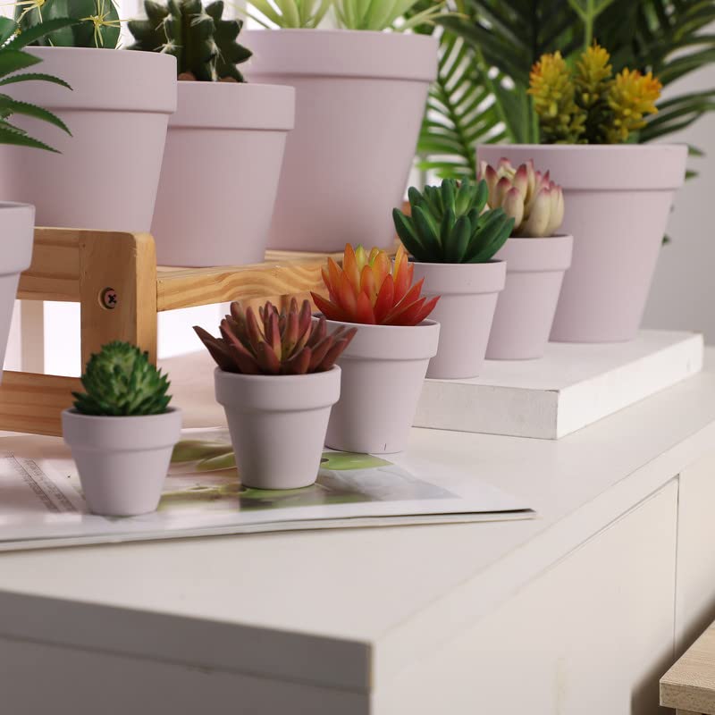 Compact 2.5-inch Yishang pot, fits desks and shelves.