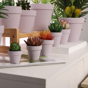 Compact 2.5-inch Yishang pot, fits desks and shelves.