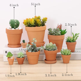 Yishang plant pots showing drainage holes for healthy watering
