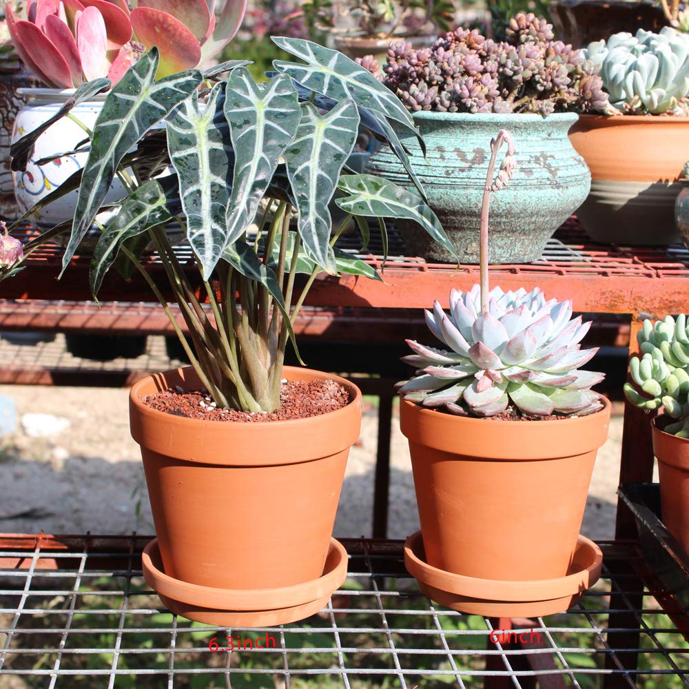 Yishang terracotta pot tray combo protects floors and decks.