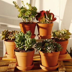 Yishang Terra Cotta pots with natural texture ideal for crafts and decor