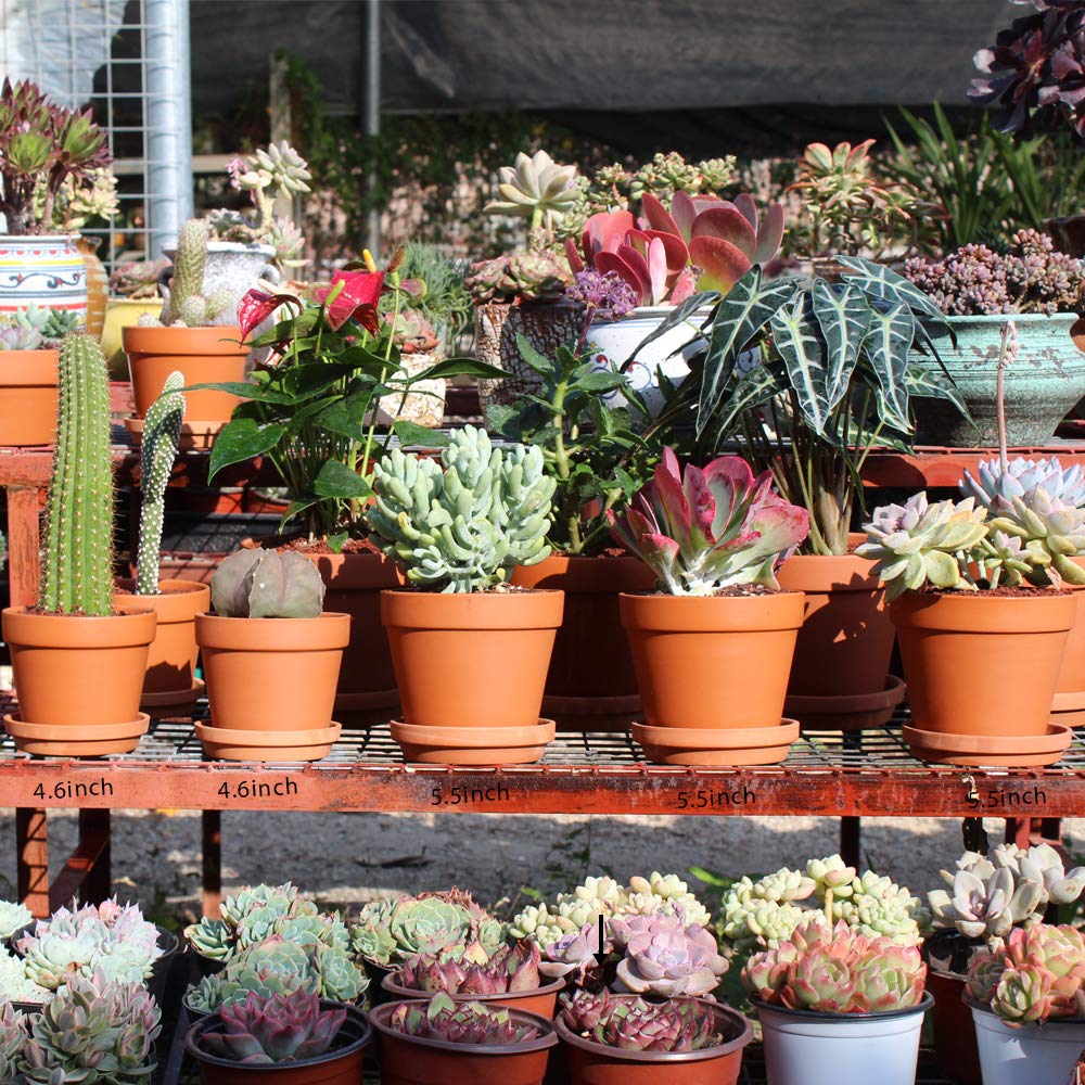 Yishang Terra Cotta pots with saucer stacked to show complete planter set