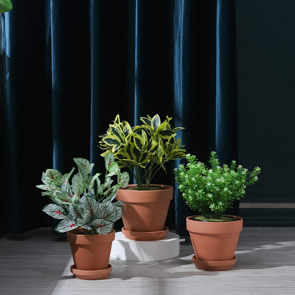 Yishang terracotta pot 8 inch with drainage promotes healthy roots