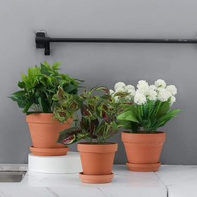 Yishang terracotta pot close-up highlights natural texture and craft